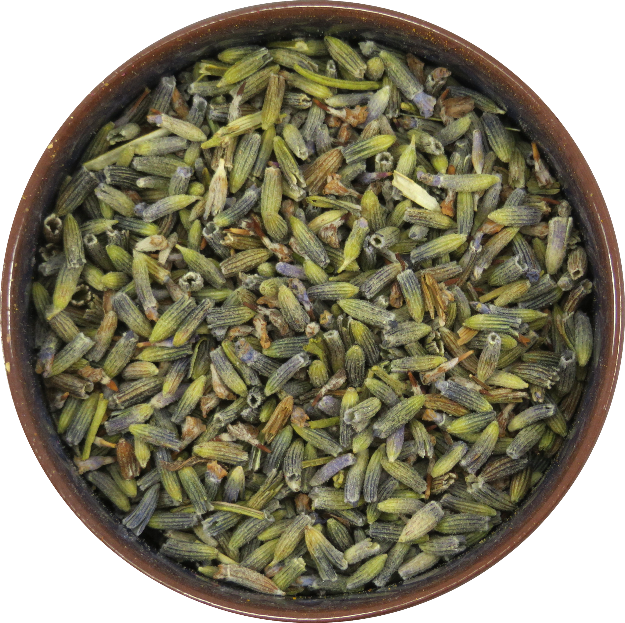 Lavender Flower - Harbal Garden - Teaura Tea | Online Tea Store