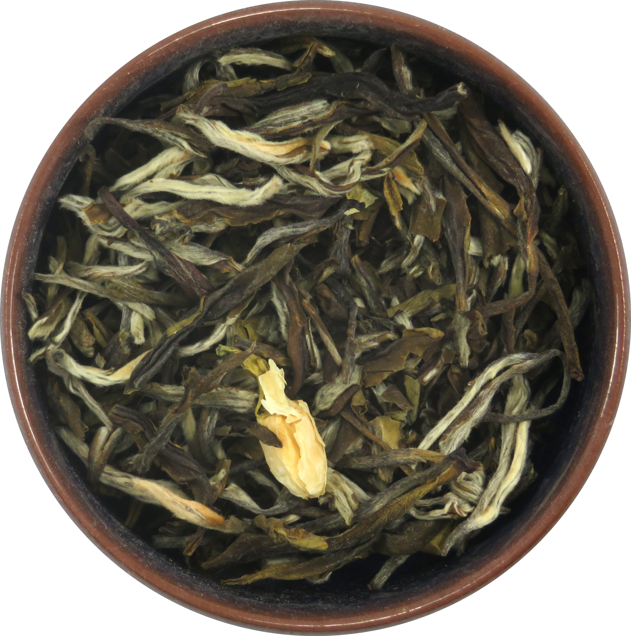 White Silver Needle Jasmine King Tea - White - Teaura Tea | Online Tea Store